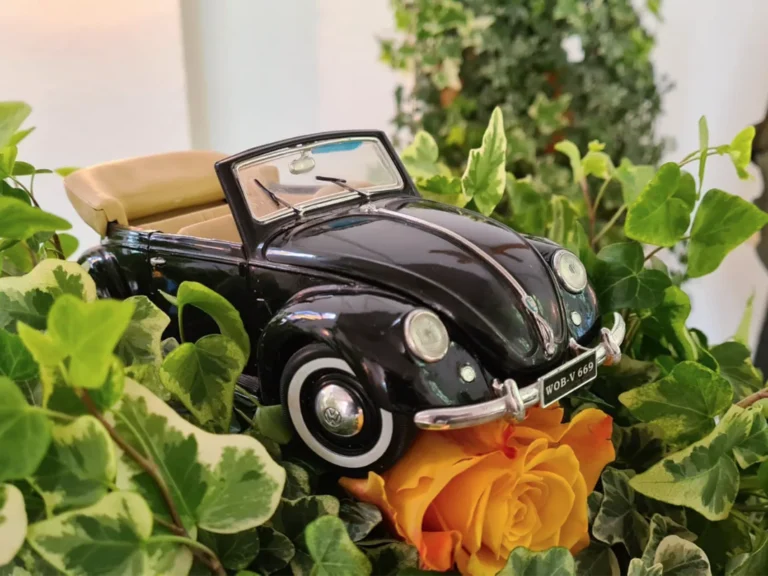 VW Käfer als Autoliebhaber – individuelle Beerdingungen